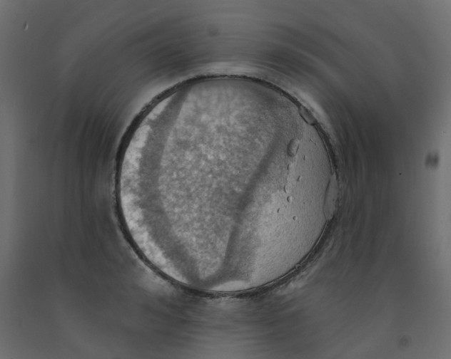 X0000092110992200710101139