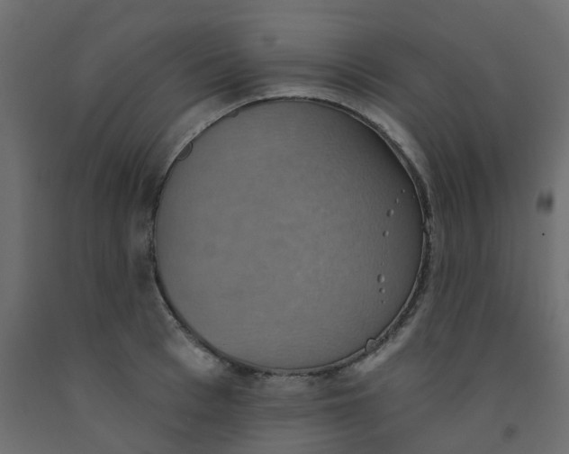 X0000092110993200710101139