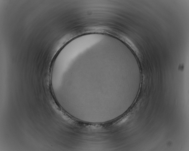X0000092110994200710101139