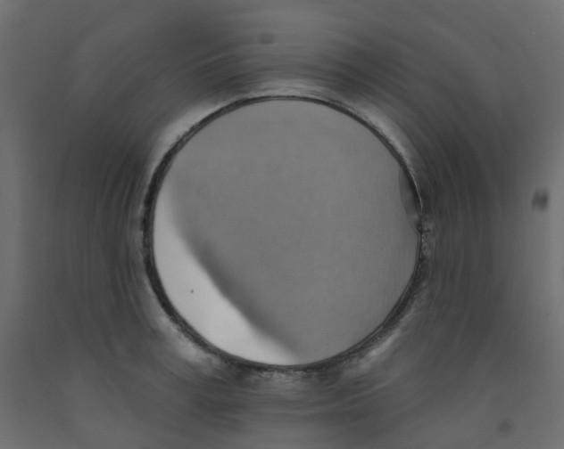 X0000092110995200710101139