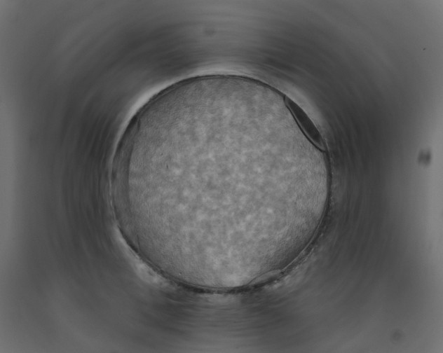 X0000092110996200710101139