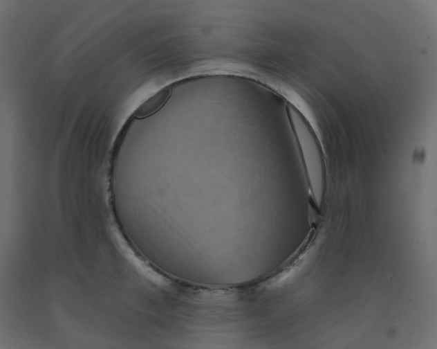 X0000092110997200710101139