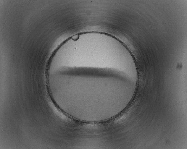 X0000092110998200710101139