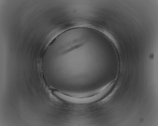 X0000092111001200710101139