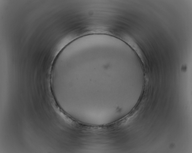 X0000092111002200710101139