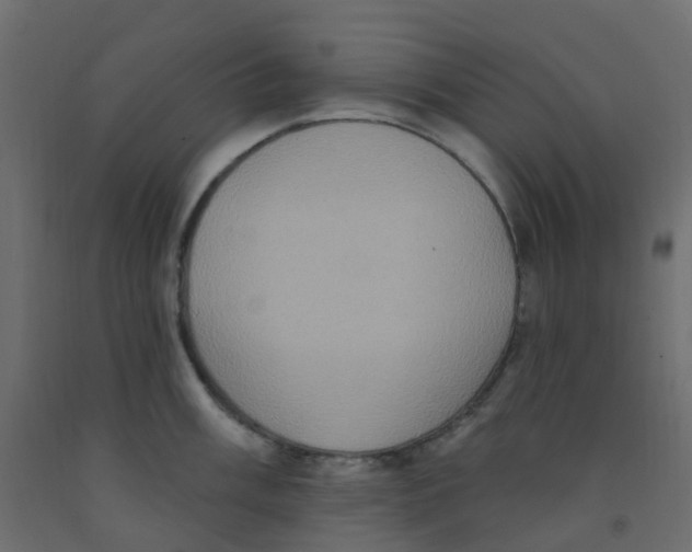 X0000092111003200710101139