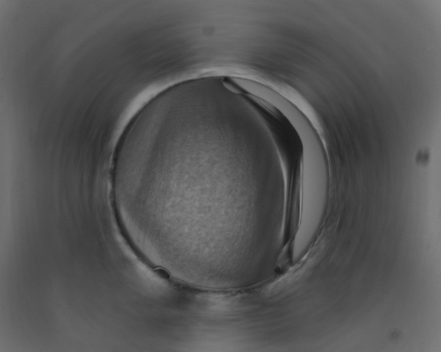 X0000092111005200710101139