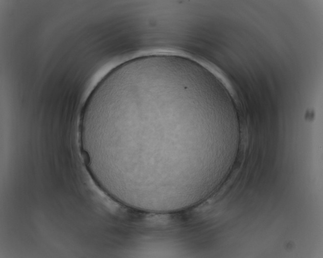 X0000092111006200710101139