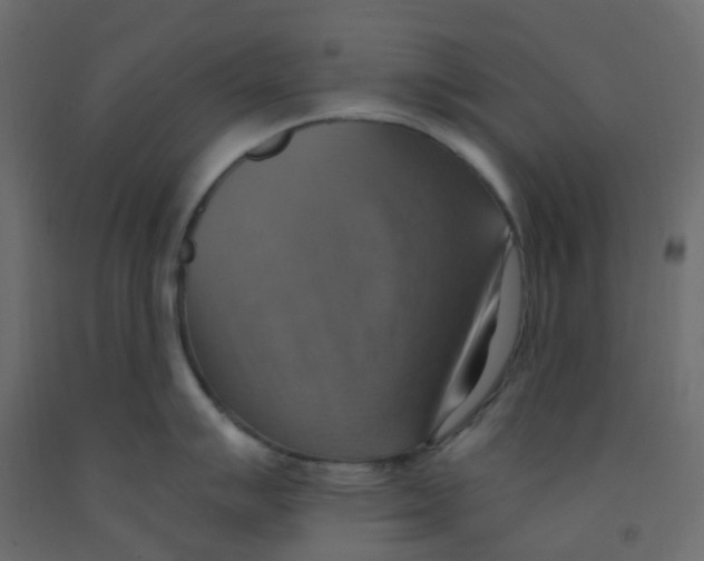 X0000092111007200710101139