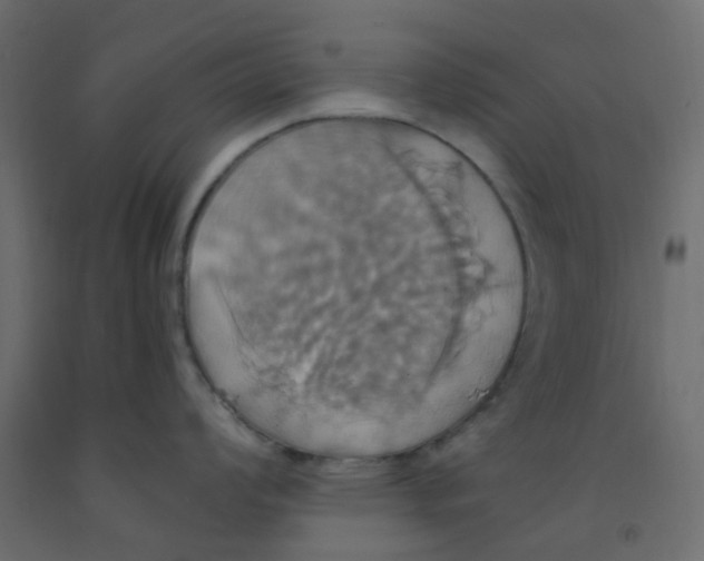 X0000092111008200710101139