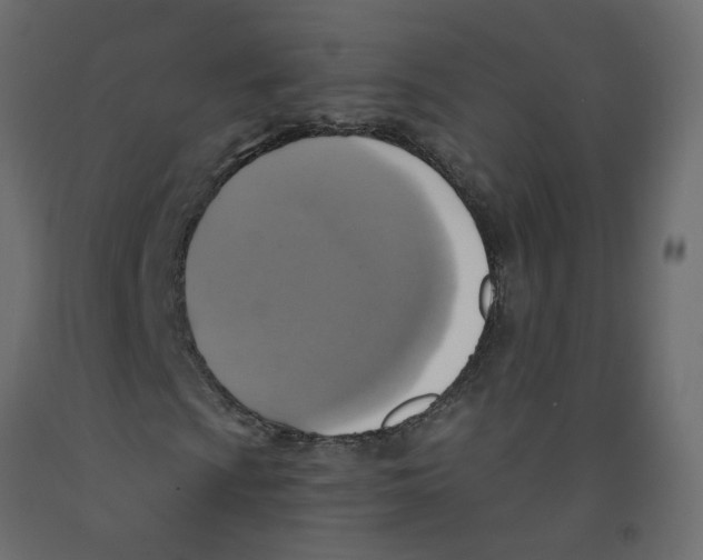 X0000092111009200710101139