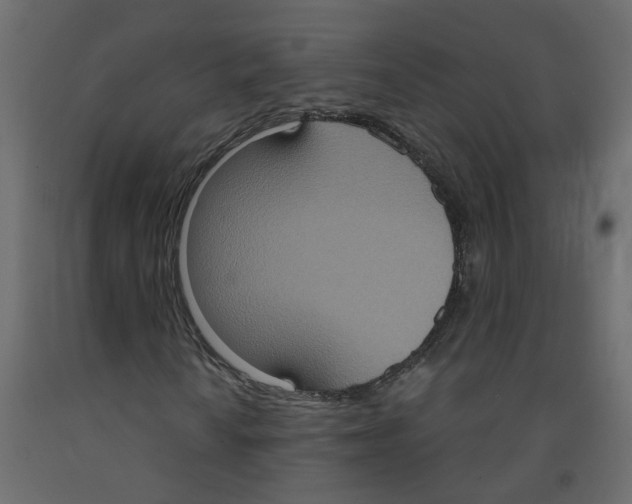 X0000092111010200710101139