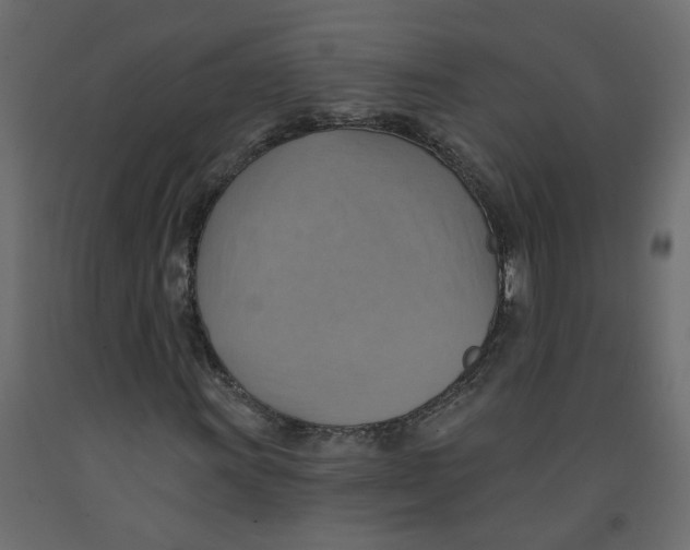 X0000092111011200710101139