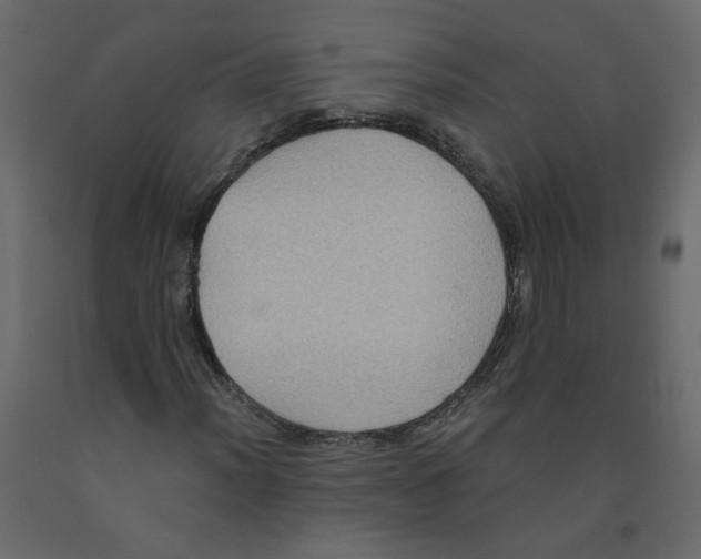 X0000092111012200710101139