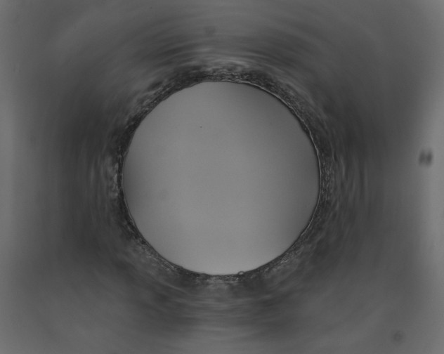 X0000092111013200710101139
