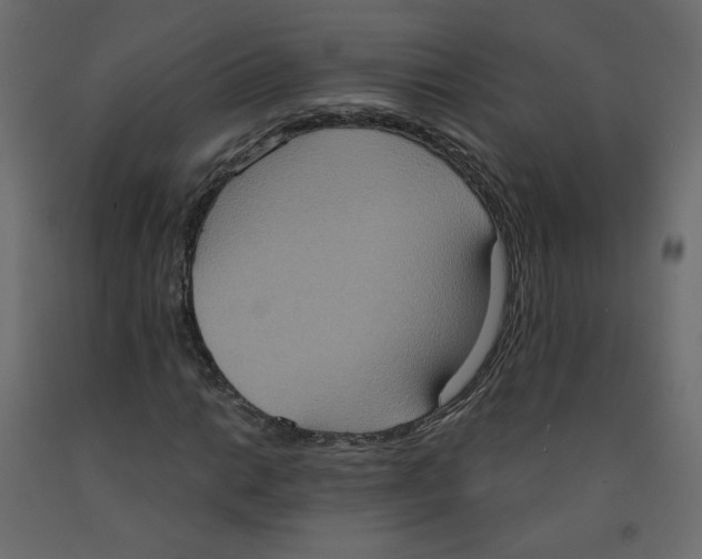 X0000092111014200710101139