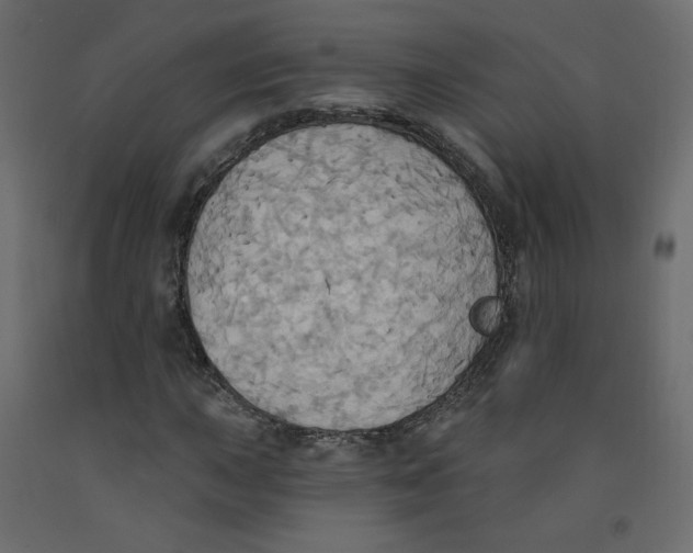 X0000092111015200710101139