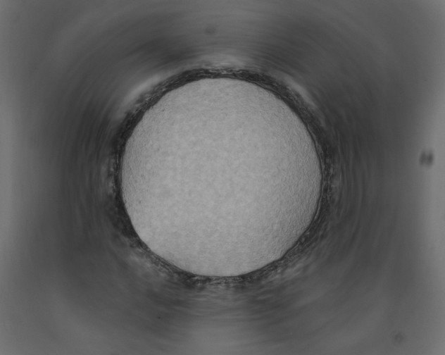 X0000092111016200710101139