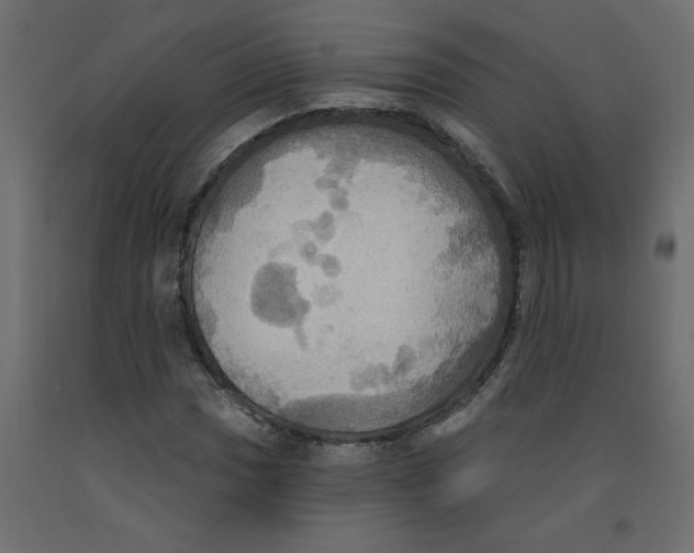 X0000092111017200710101139