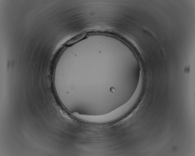 X0000092111018200710101139