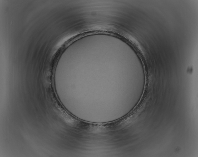 X0000092111019200710101139