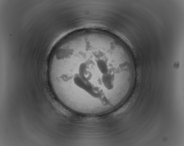 X0000092111021200710101139