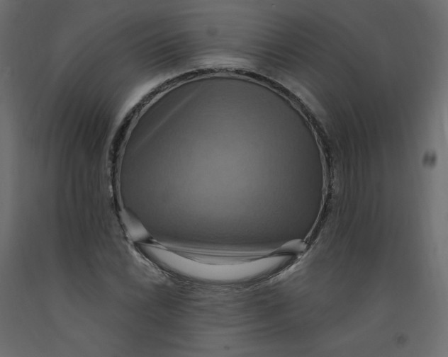 X0000092111022200710101139