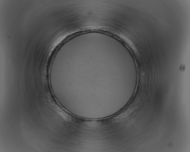 X0000092111023200710101139