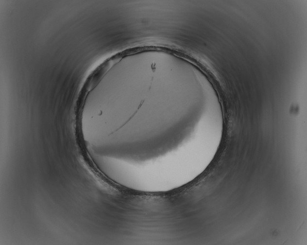 X0000092111024200710101139