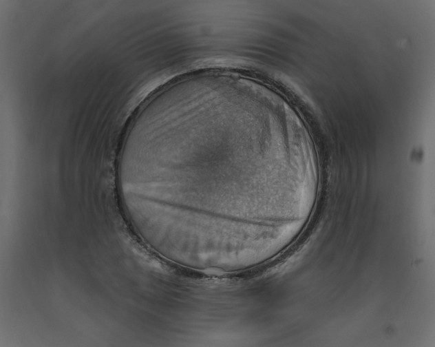 X0000092111025200710101139