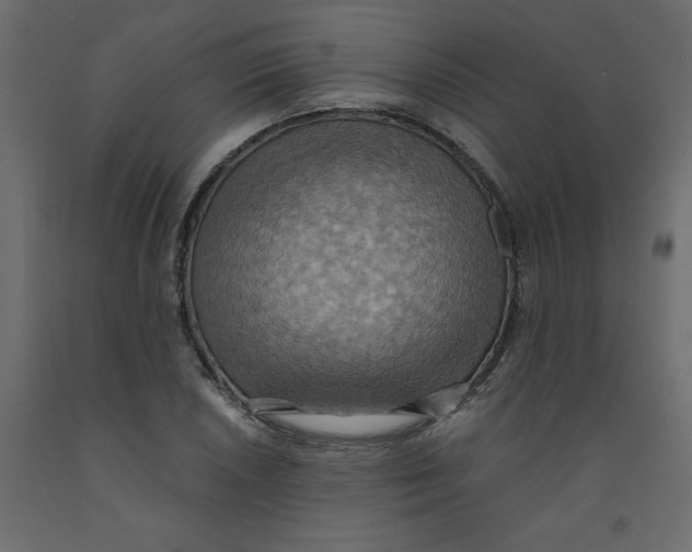 X0000092111026200710101139