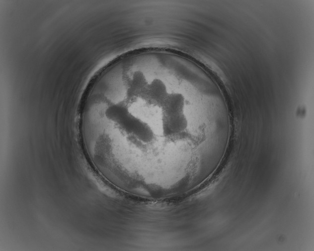X0000092111029200710101139