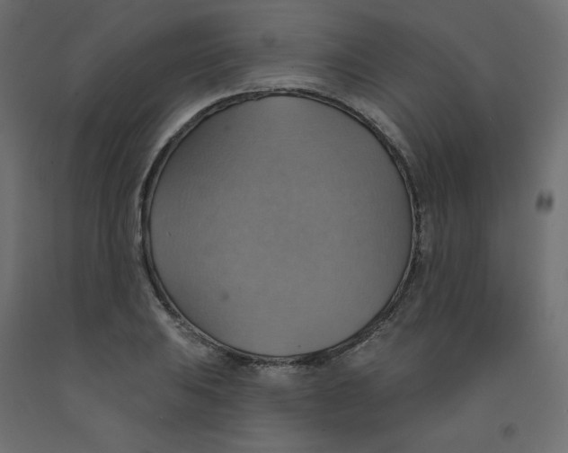 X0000092111031200710101139