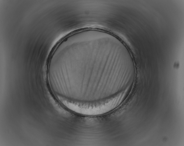 X0000092111032200710101139