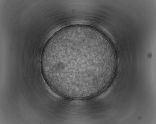 X0000092111033200710101139