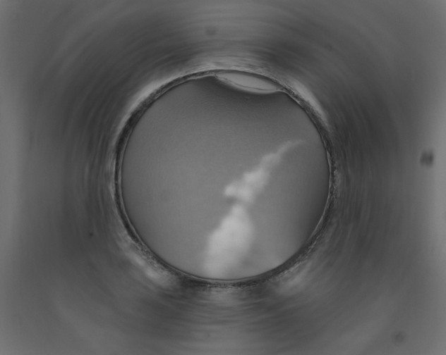 X0000092111035200710101139