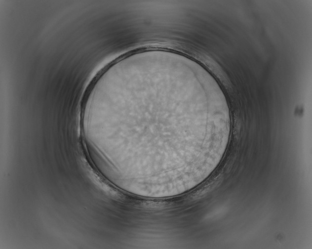 X0000092111036200710101139