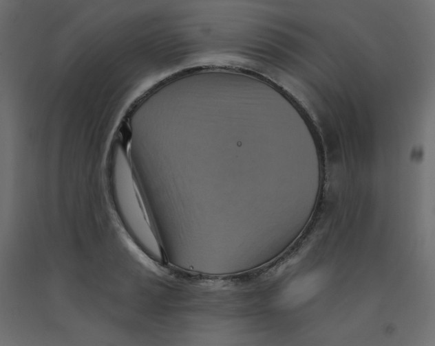 X0000092111037200710101139