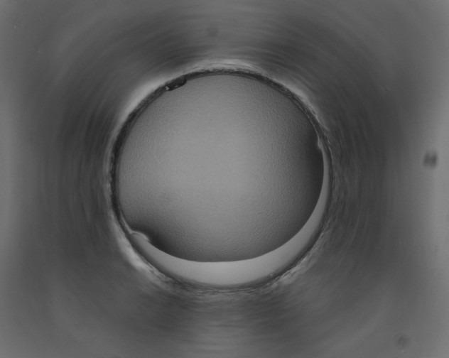 X0000092111038200710101139