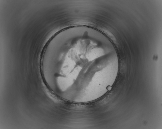 X0000092111039200710101139