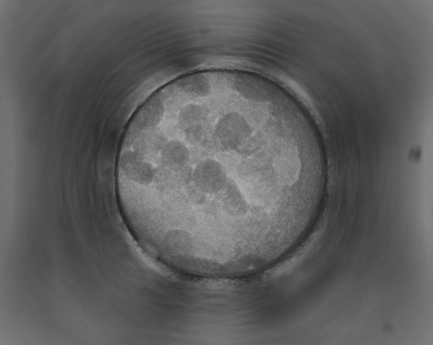X0000092111041200710101139