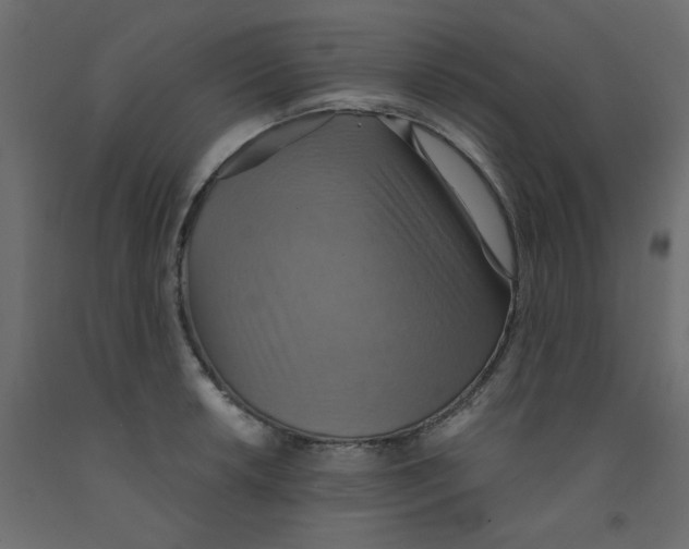X0000092111042200710101139