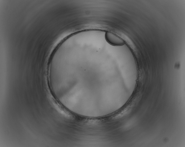 X0000092111043200710101139