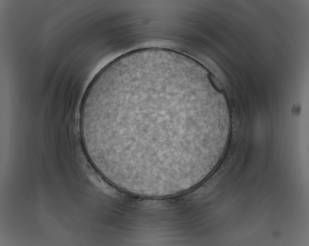 X0000092111044200710101139