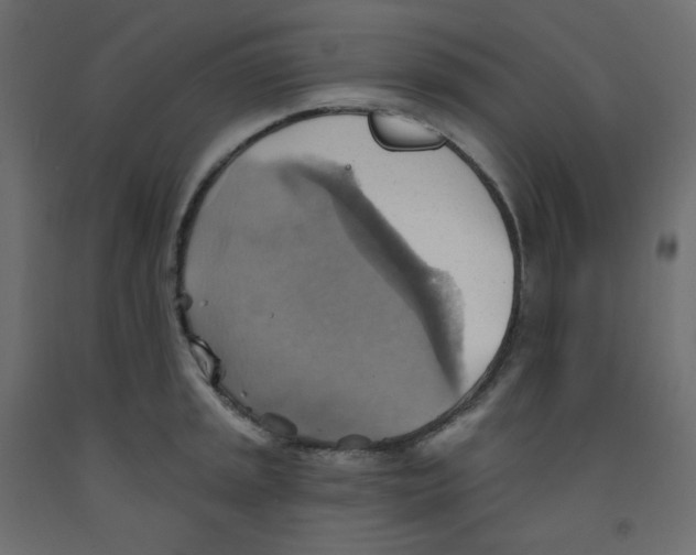 X0000092111045200710101139
