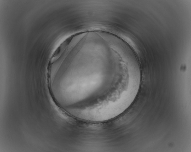 X0000092111047200710101139