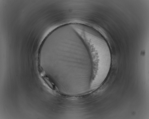 X0000092111048200710101139
