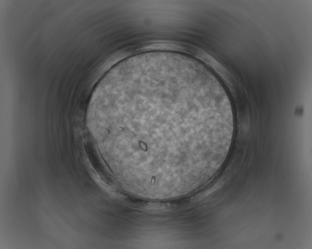 X0000092111049200710101139