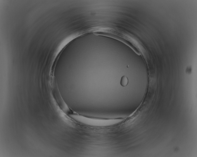 X0000092111050200710101139