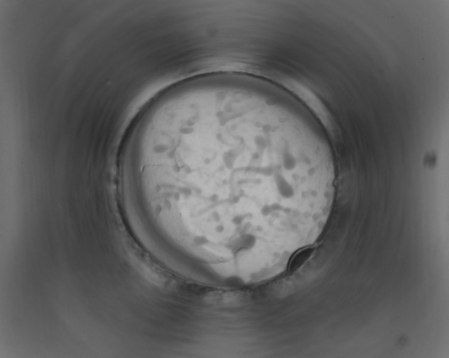 X0000092111051200710101139